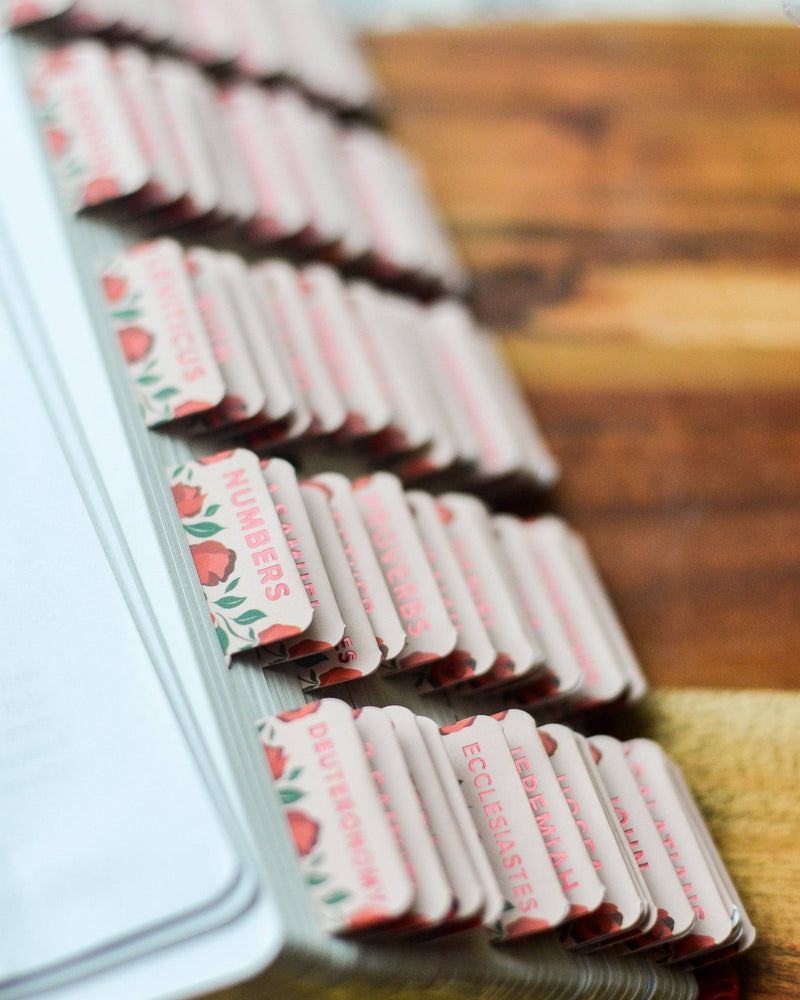 "Shower of Roses" Catholic Bible Tabs - Shepherd Me Shop