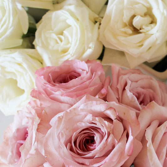 Catholic Gifts for Children: Celebrating Faith Milestones - Shepherd Me Shop