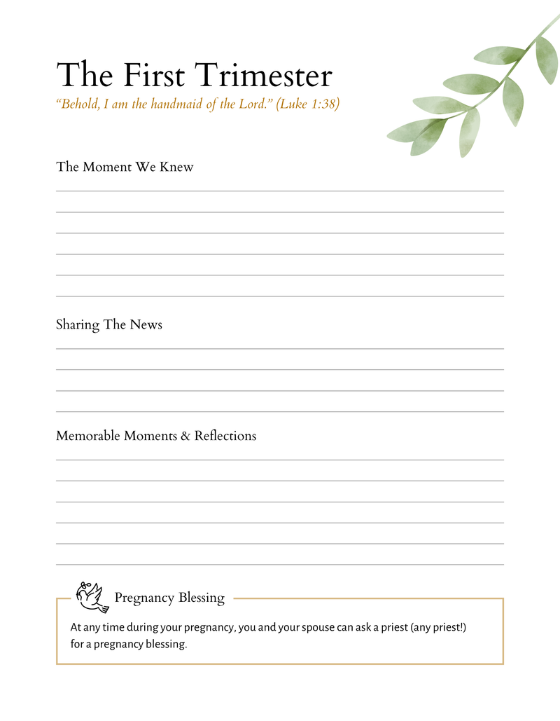 Catholic Pregnancy & Baby Journal