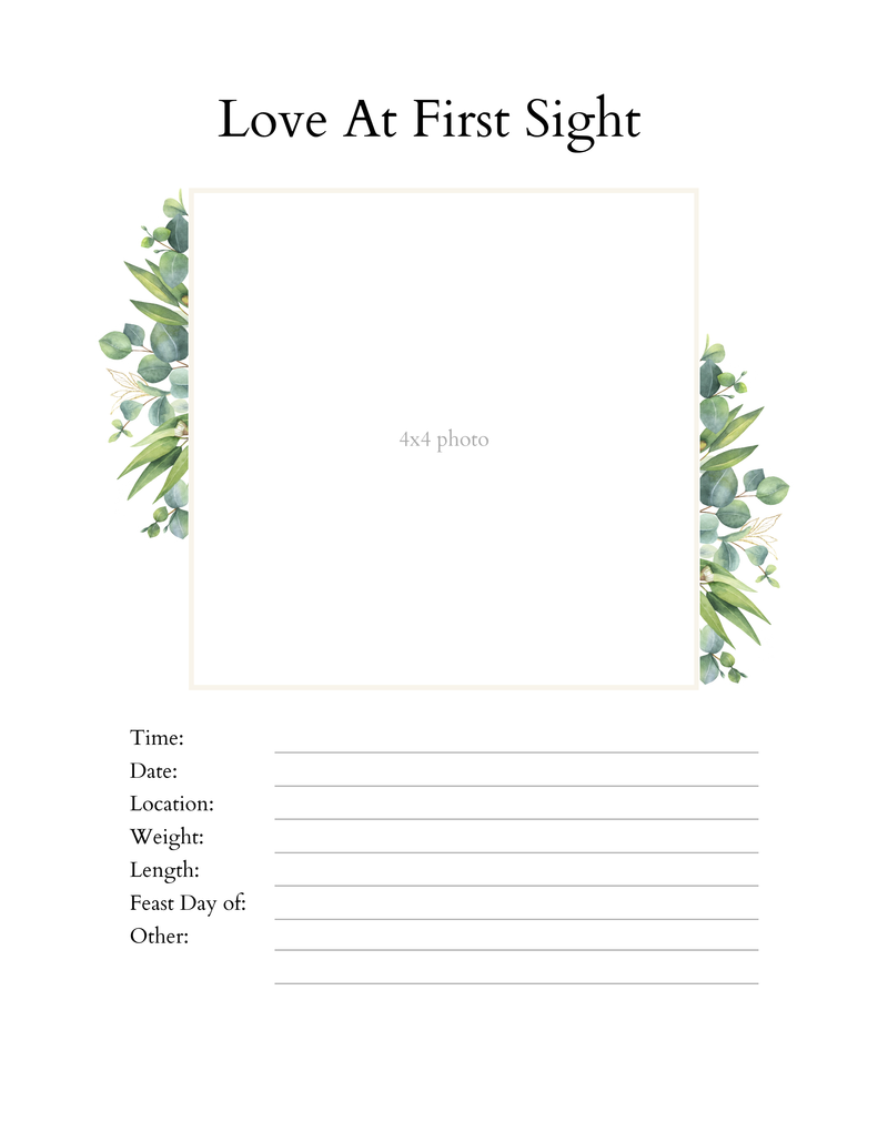 Catholic Pregnancy & Baby Journal
