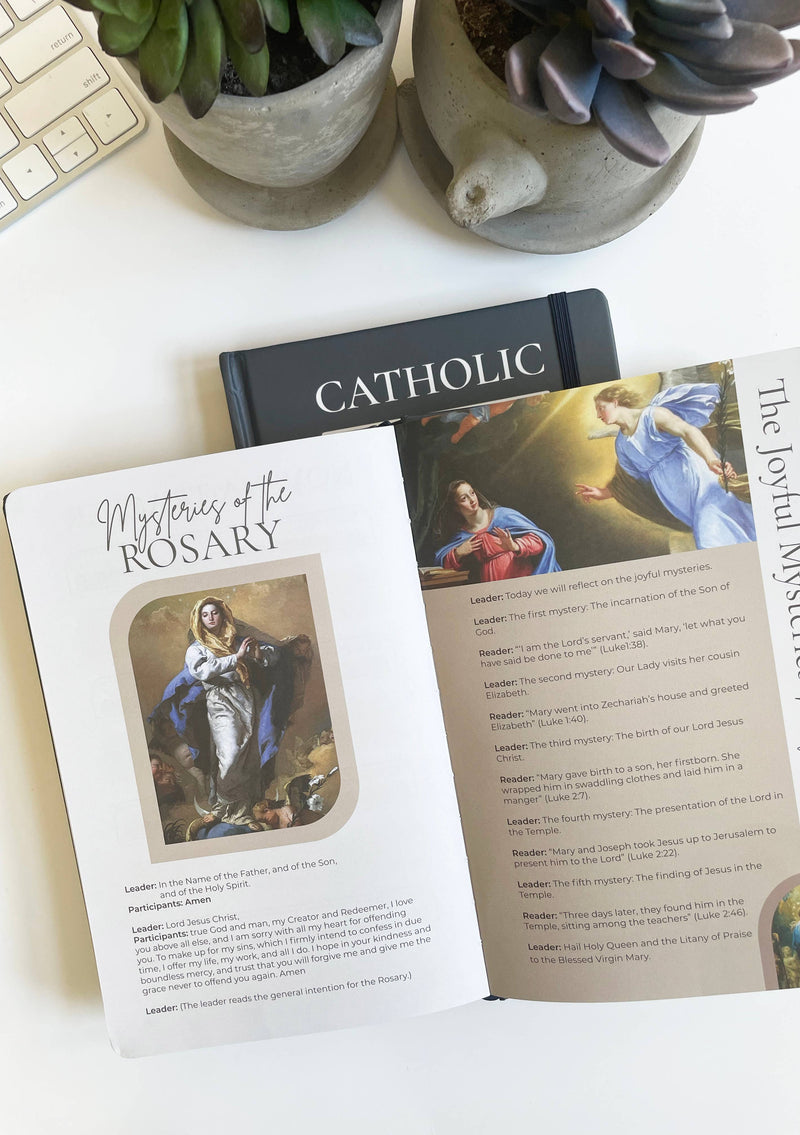 Catholic Prayer Journal | Lectio Divina: Immaculate Mary