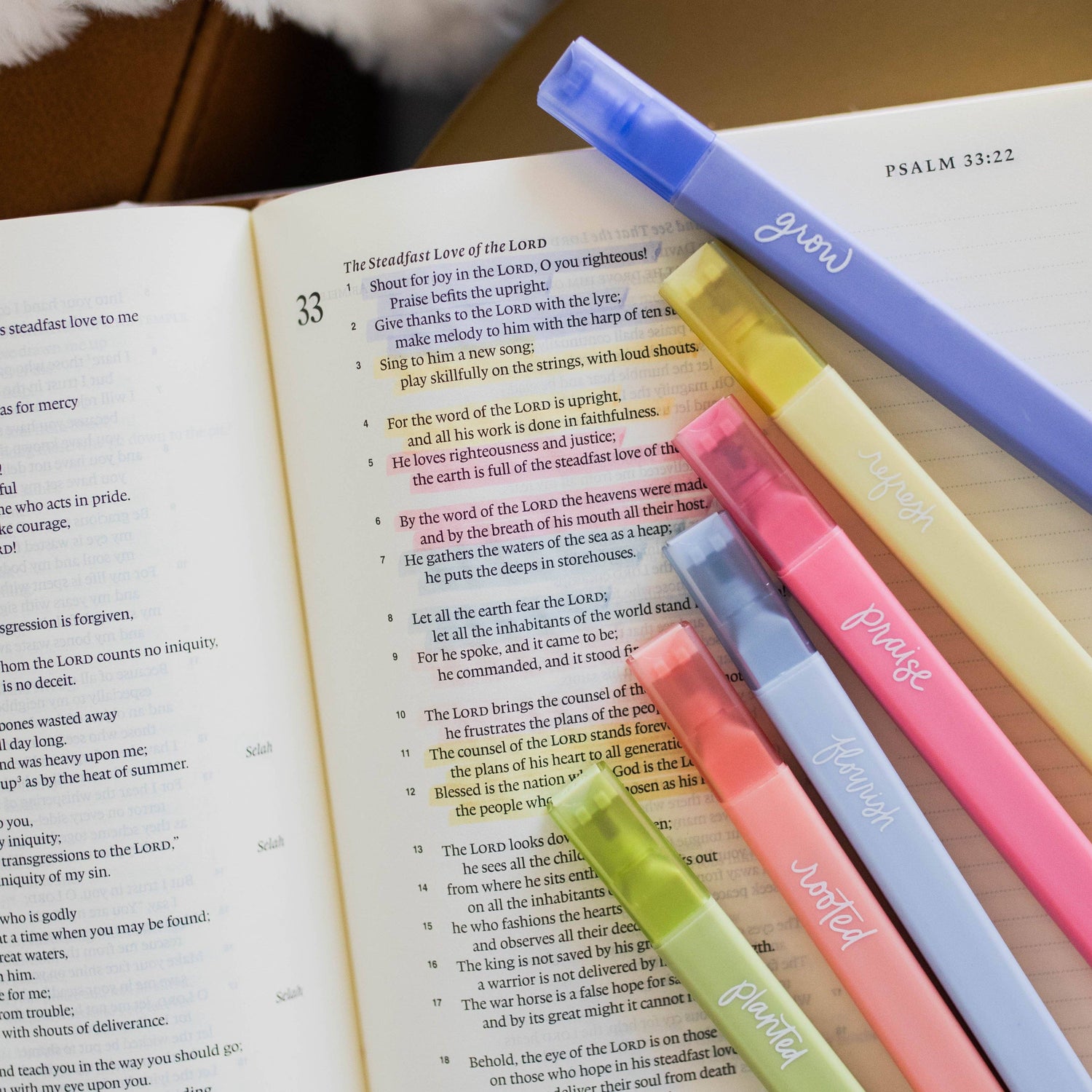 Garden Highlighters - Shepherd Me Shop