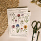 Fiat Floral Postcards (10 pack)