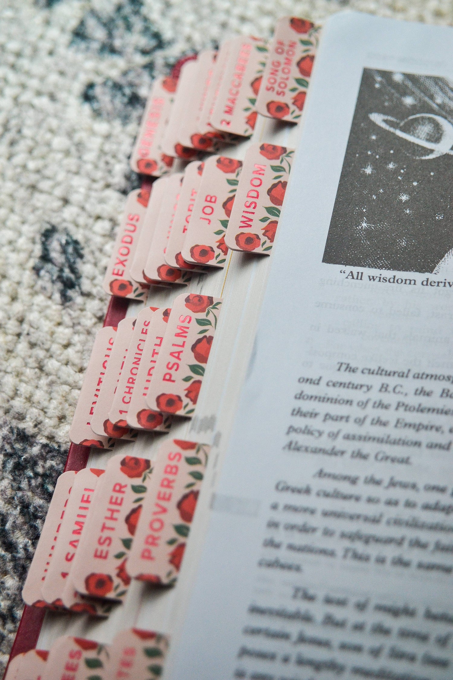 "Shower of Roses" Catholic Bible Tabs - Shepherd Me Shop