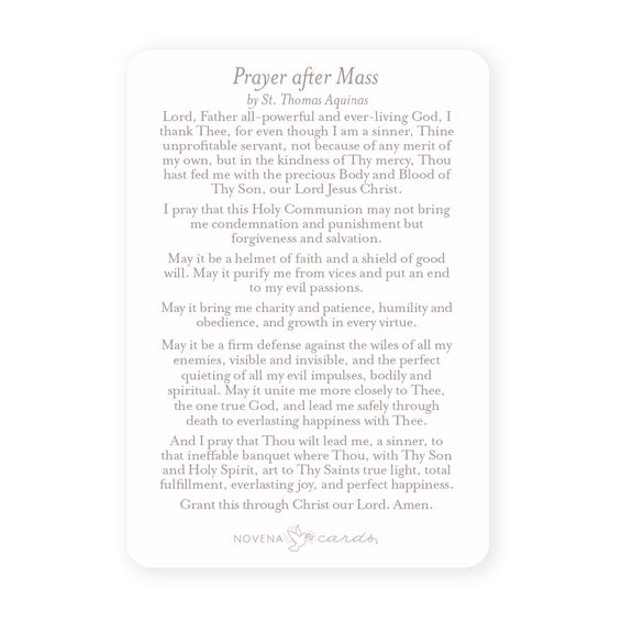 Prayer After Mass Card - Shepherd Me Shop