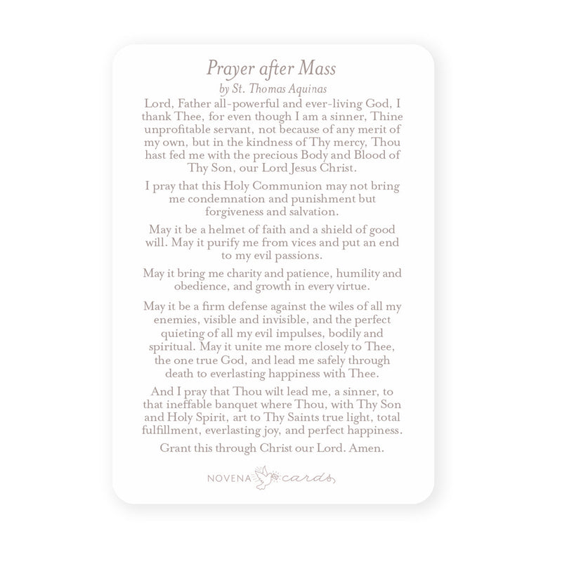 Prayer After Mass Card - Shepherd Me Shop