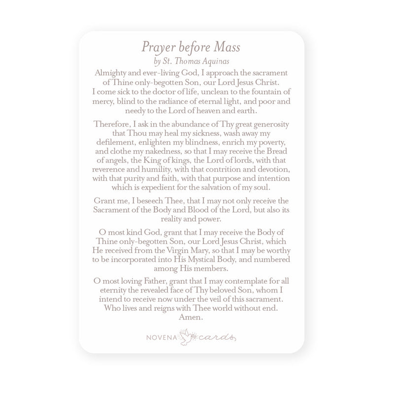 Prayer Before Mass Card - Shepherd Me Shop